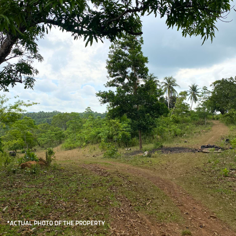11 HECTARES, AGRICULTURAL LOT FOR SALE IN GUIMARAS Iloilo Prime