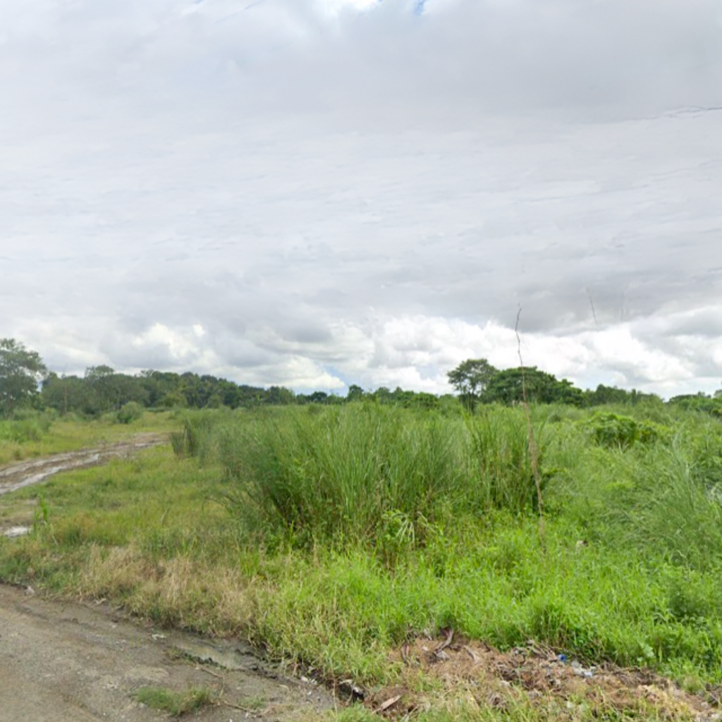 1.6 HECTARES COMMERCIAL LOT FOR SALE IN POBLACION PAVIA Iloilo Prime Properties